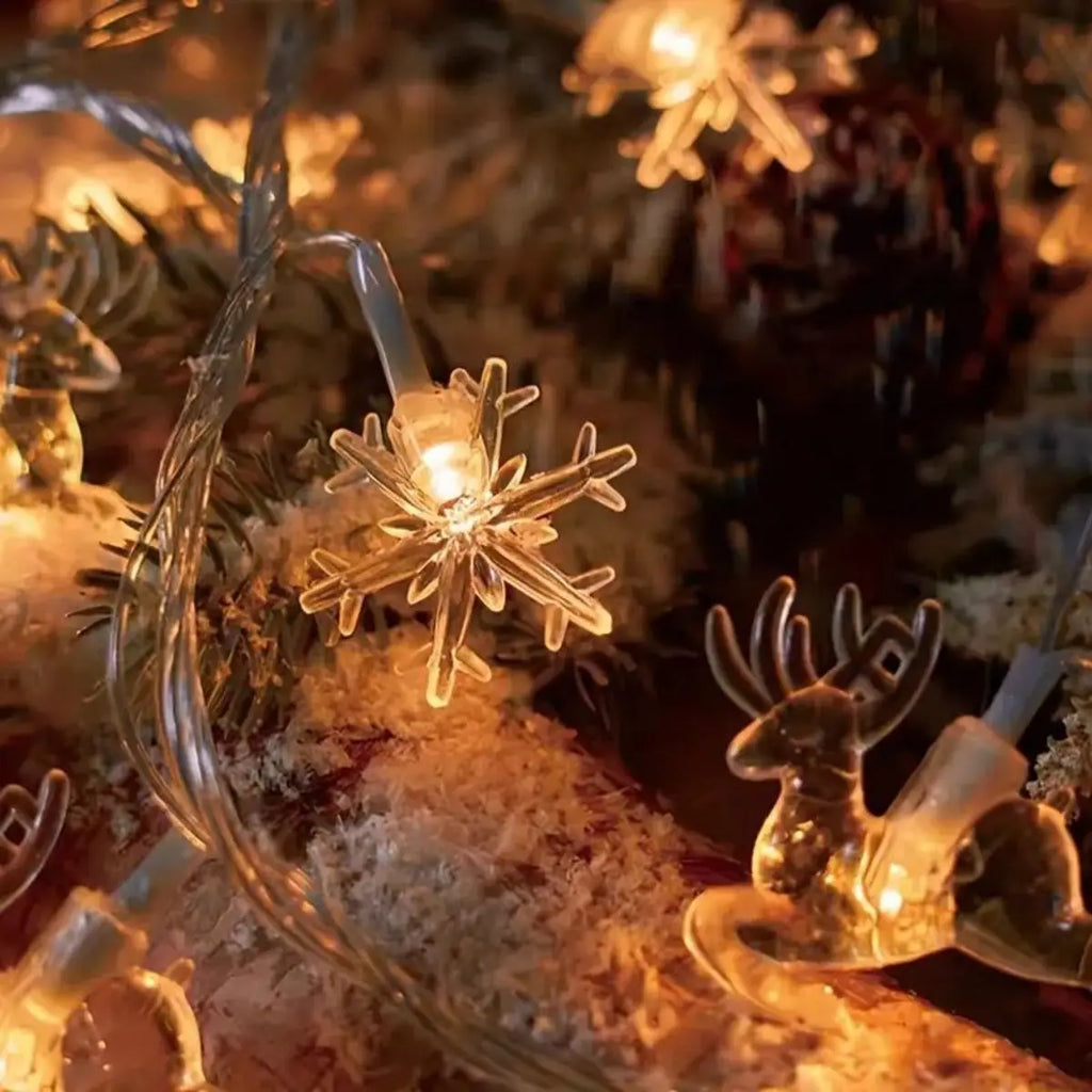 S40faf63e4e15488e843208ba46fe0f71B