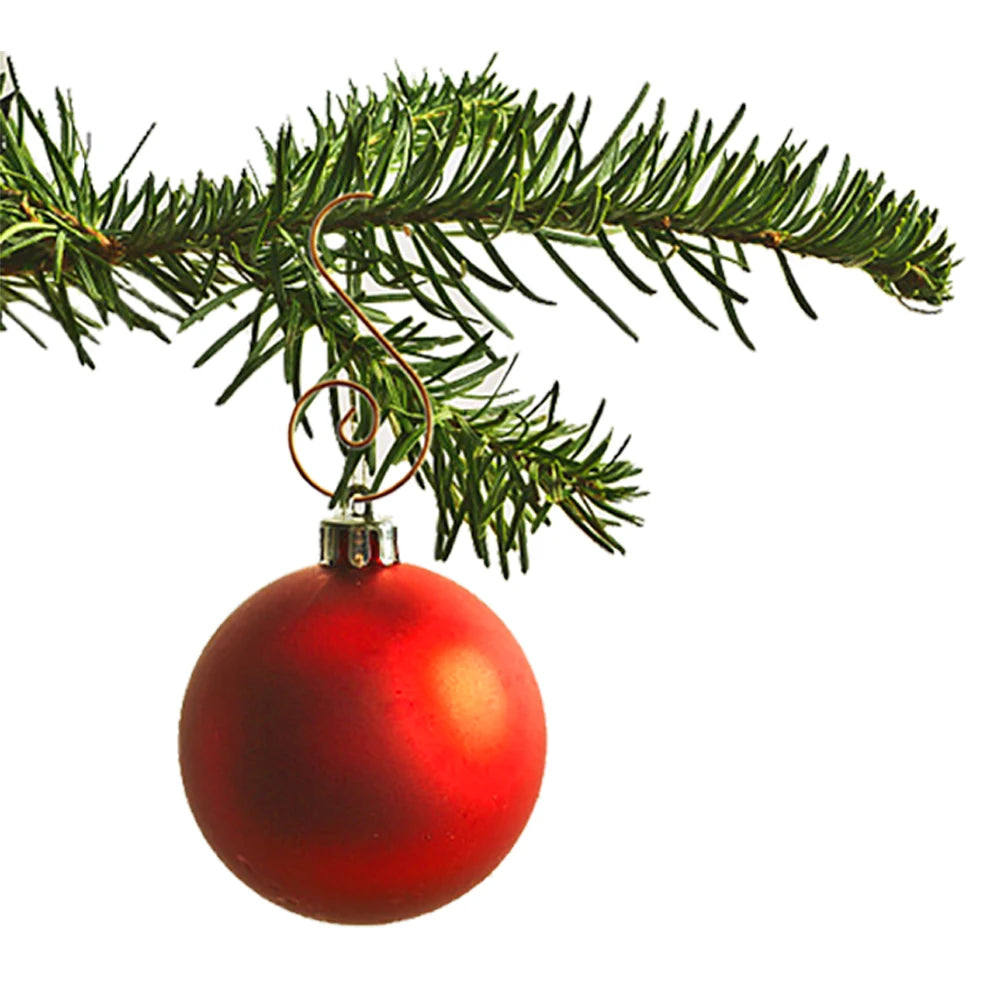 S958d93a79172455fa2c66513545e286eZ