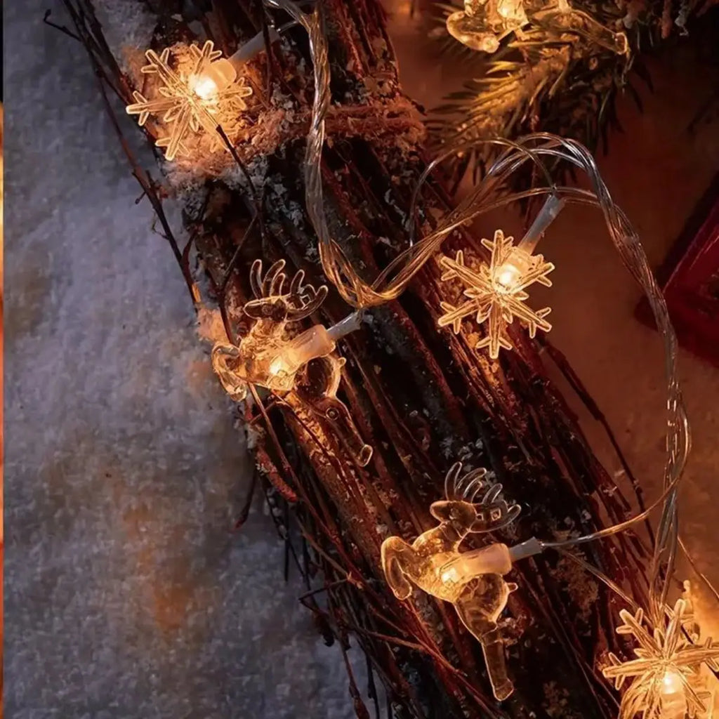 Sfb9f7662523042d5a4a91f9ae79e61fam